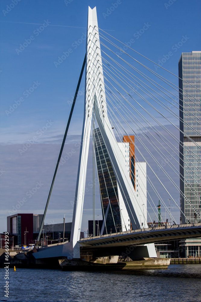 Naklejka premium rotterdam