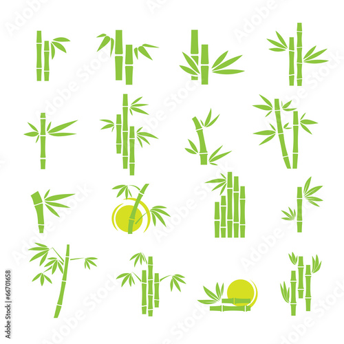 Bamboo vector symbol icons set © JMC