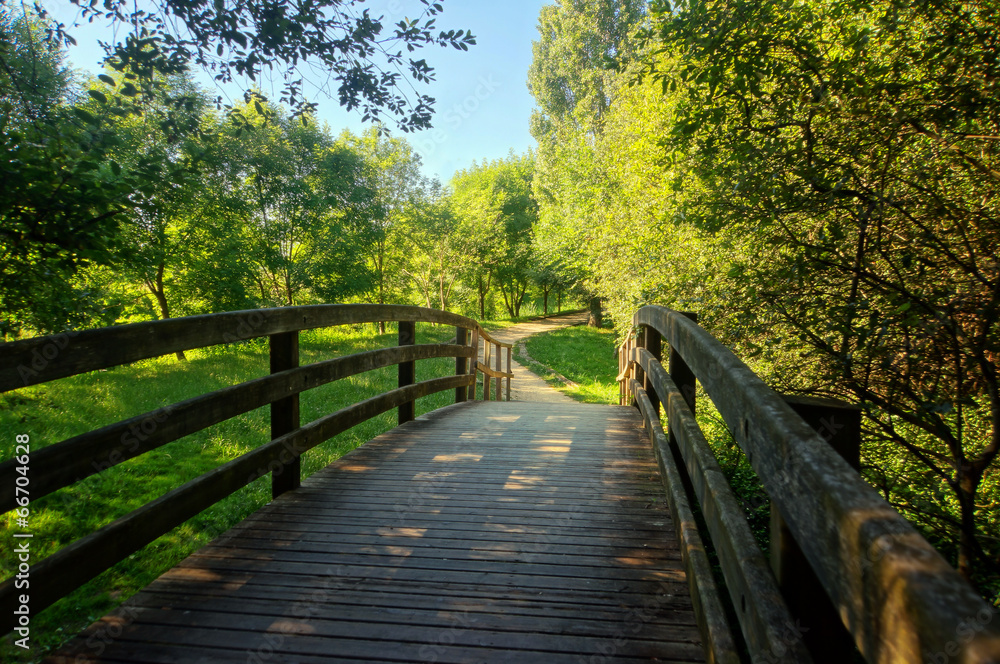 wooden bridge on park