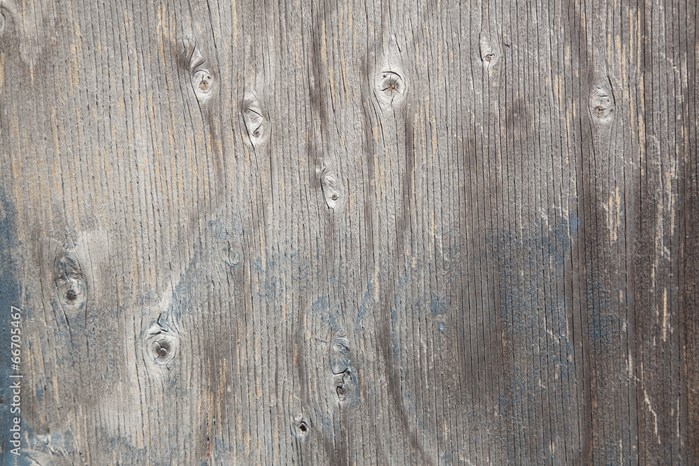 Obraz premium grey wood with knots and blue paint