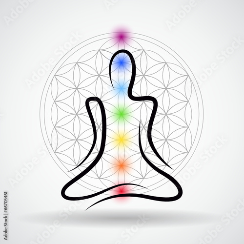 meditation blume des lebens