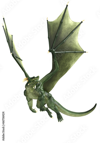 green dragon is just flying