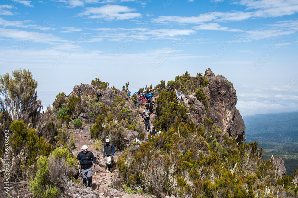 Naklejka premium On Shira Ridge, Kilimanjaro