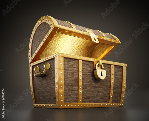Treasure chest full of treasures photo