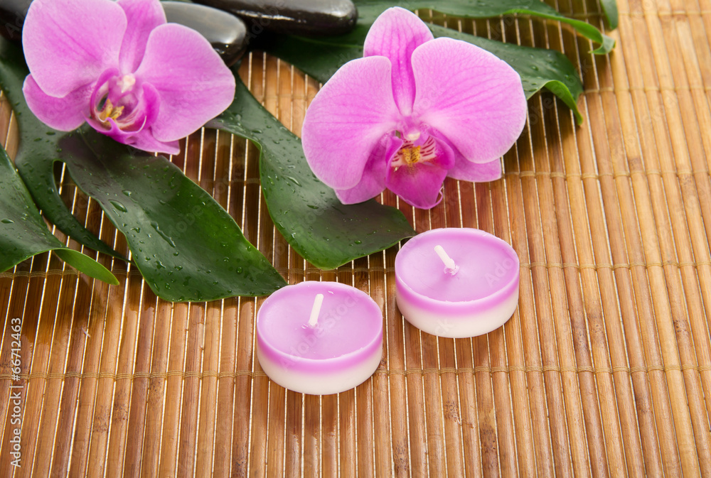 Leaf of a monstera, orchid, candle and stones Leaf of a monstera, orchid, candle and stones