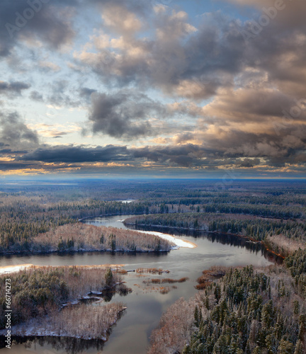 First snow in forest  top view