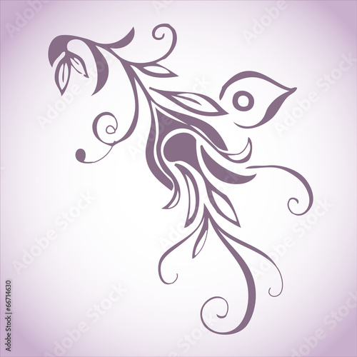 Abstract floral ornament vector