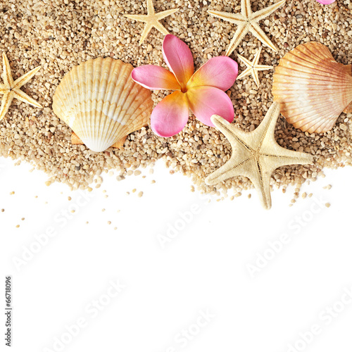 sand and seashells frame isolated on white background