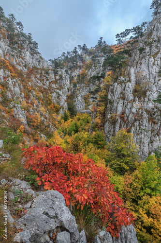 Tasnei Gorge, Romania photo