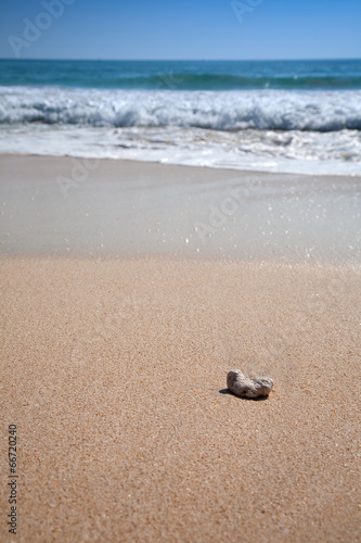 Sand beach © Lizard