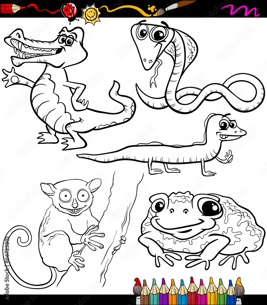 Obraz premium animals set cartoon coloring book