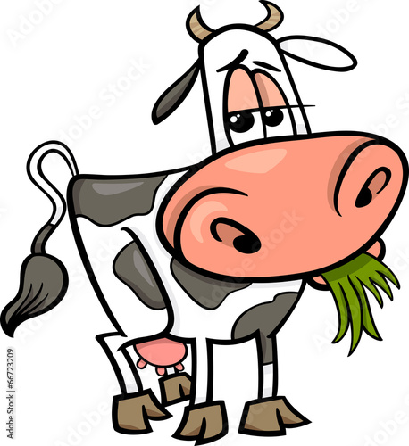 cow farm animal cartoon illustration