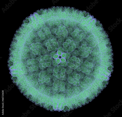 cytomegalovirus (CMV) virion. photo