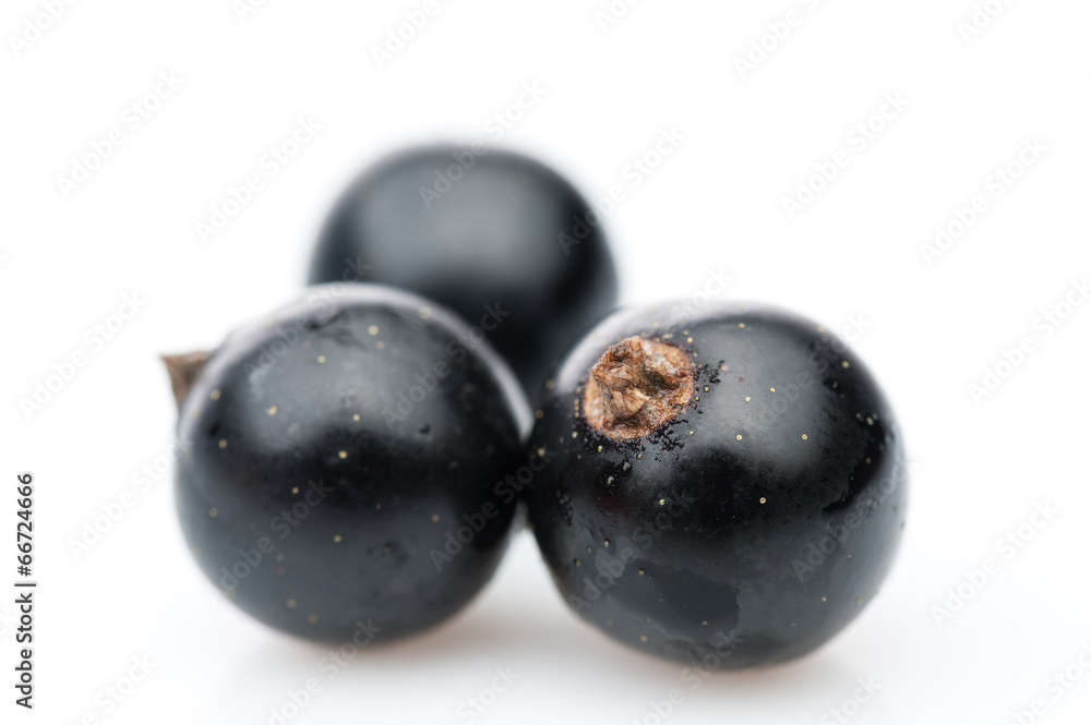 three black currant berries three black currant berries