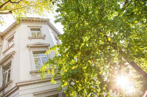 nobles Haus und Bäume - Altbau in Wiesbaden