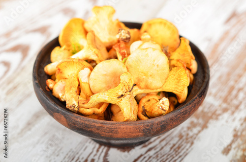 Chanterelle mushroom in clay bowl on wooden background