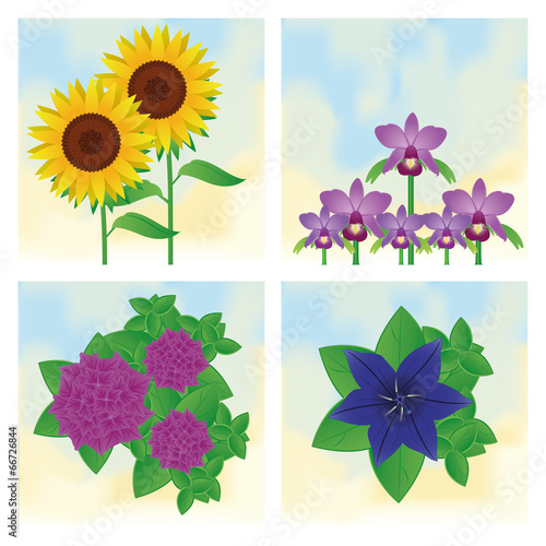 Fototapeta Naklejka Na Ścianę i Meble -  Set Of Different Colorful Flowers Isolated