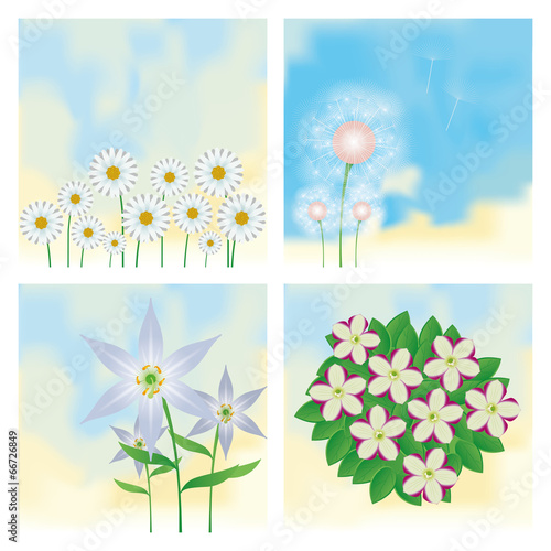 Set Of Different Colorful Flowers Isolated