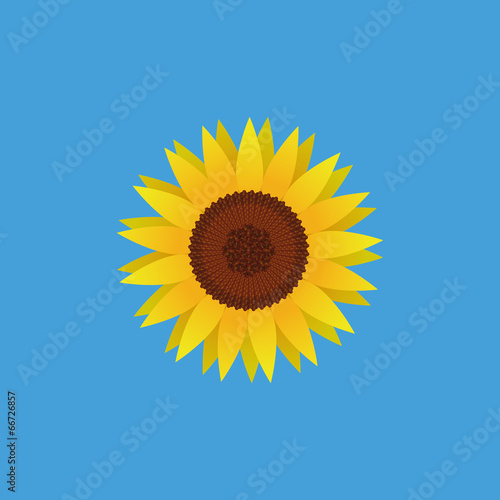 Fototapeta Naklejka Na Ścianę i Meble -  Stylish Flower Illustration Isolated On Background