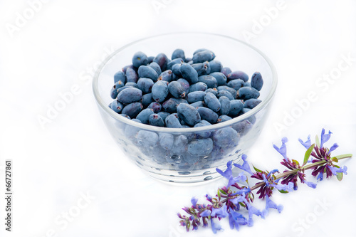 Obraz na płótnie Fresh berries