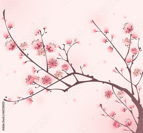 Carta da parati il sakura - Carta da parati Oriental style painting, cherry blossom in spring