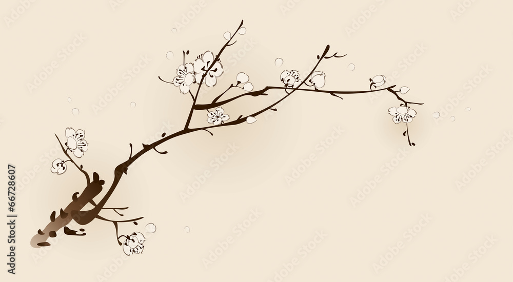 Plum blossom with line design