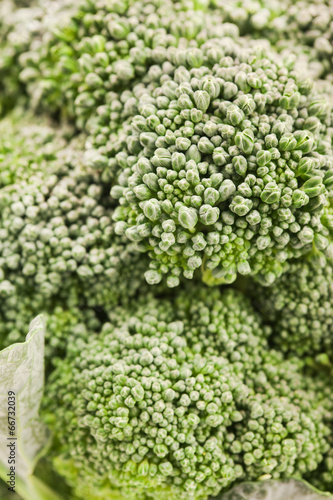 macro of fresh broccoli