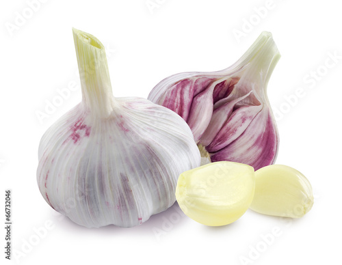 Young garlic heads and cloves isolated on white background