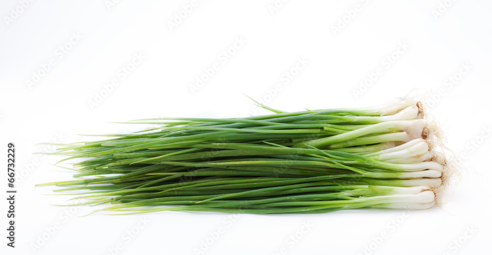 spring onion bunch on white background spring onion bunch on white background