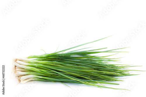 spring onion bunch on white background