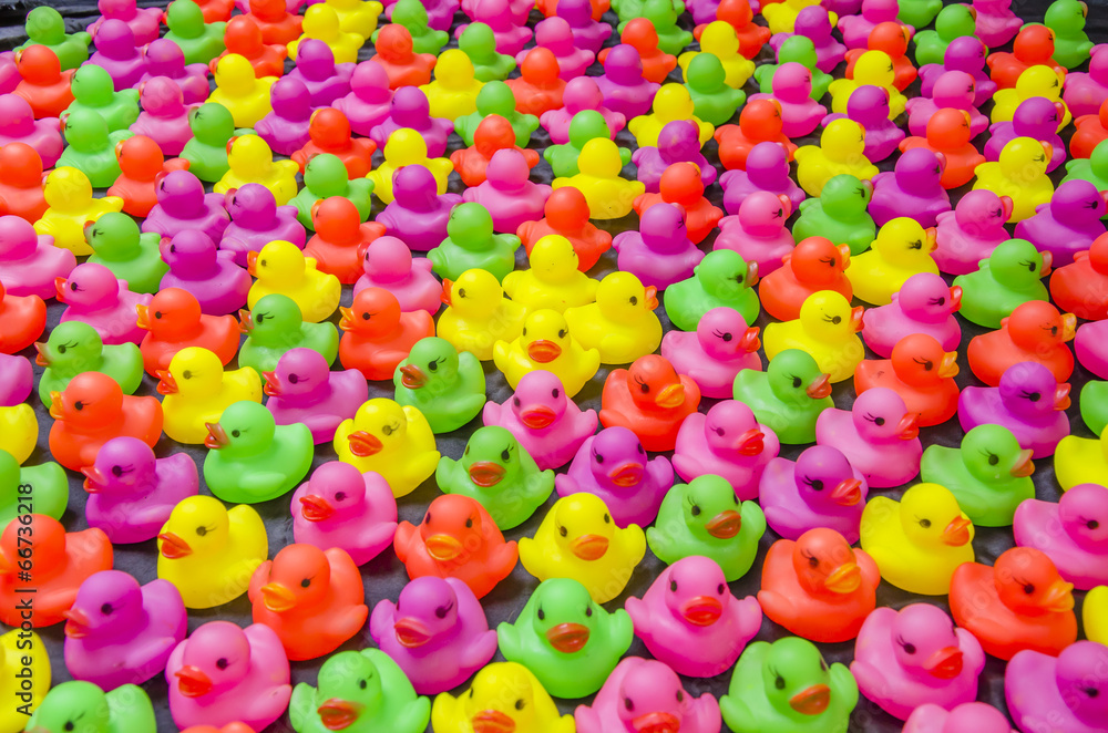 Colorful Duck Toy Colorful Duck Toy