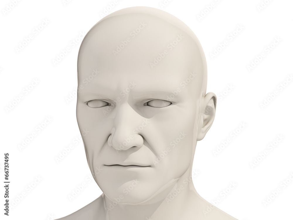 Human head isolated Human head isolated