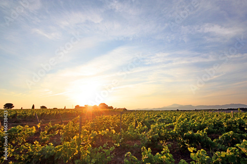 France - Sainte Cécile les Vignes