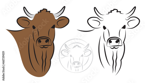 Cow set on white background
