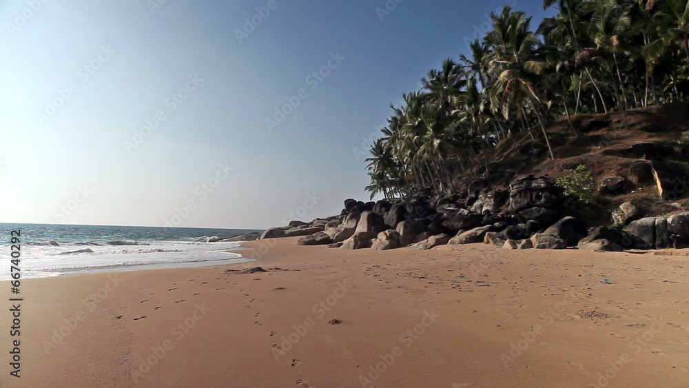 The seashore with palm trees. India. Kerala. The seashore with palm trees. India. Kerala.