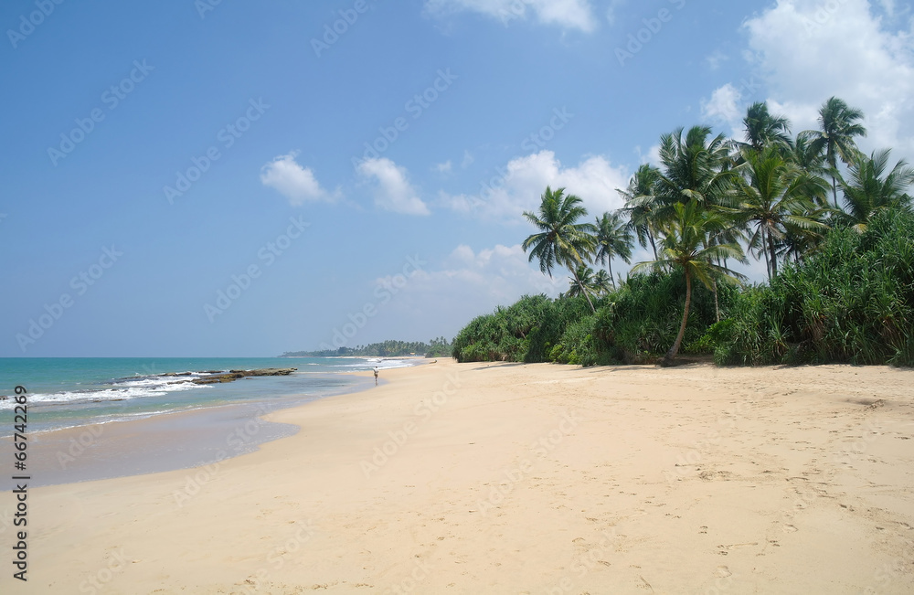 Picturesque  tropical beach. Sri Lanka
