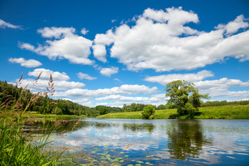 Fotobehang Zomer Zomers natuurlandschap met bloemenveld  © Dmitry Naumov
