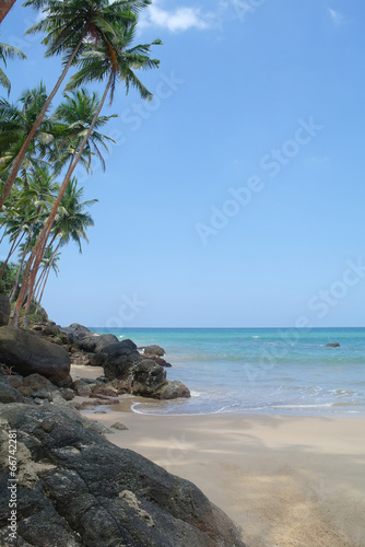 Picturesque tropical beach. Sri Lanka