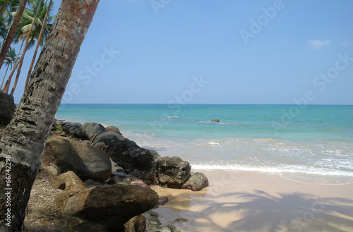 wild beach on Sri lanka coast