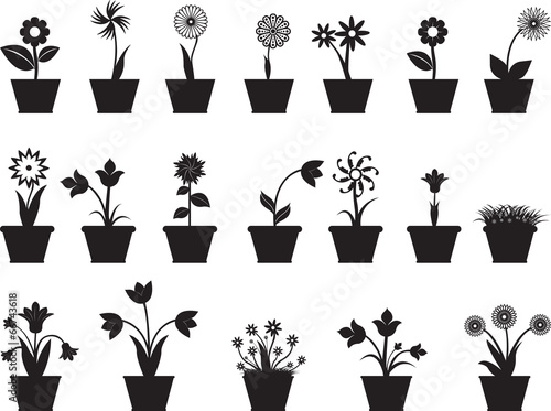 Set of flowers in pot illustrated on white