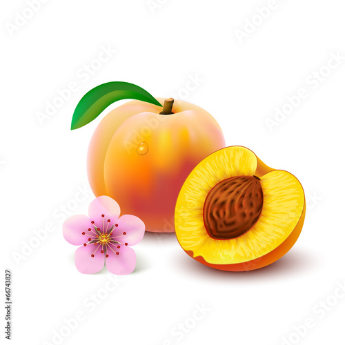 Peach with slice on white background