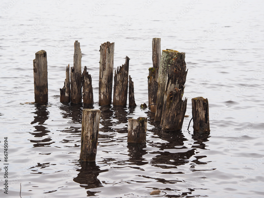 old piles in the lake