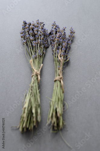 Lavender Flowers photo