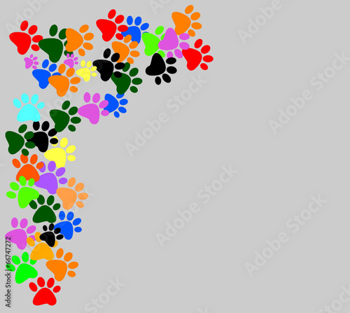  Colored pawprints on gray  background