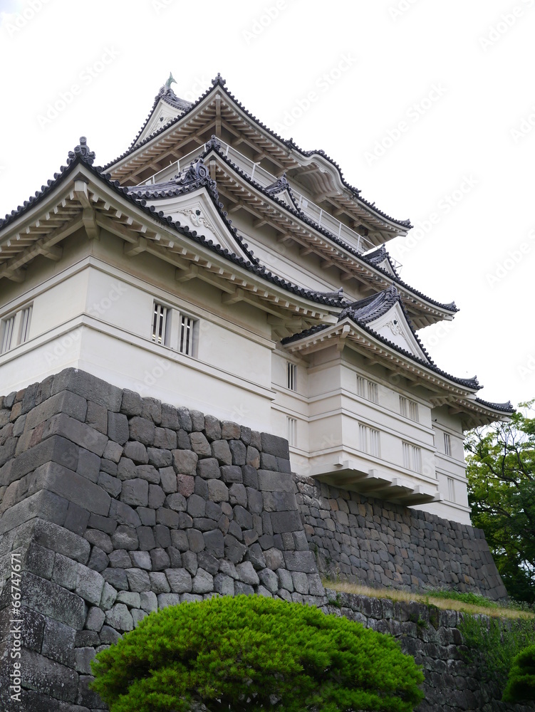 Fototapeta premium 小田原城天守閣