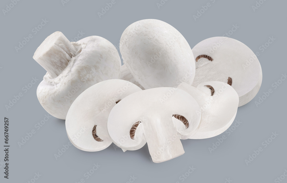 Multiple mushrooms isolated on grey background Multiple mushrooms isolated on grey background