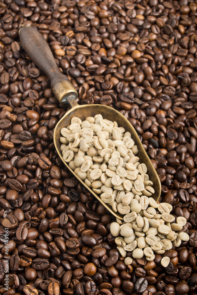 Fototapeta premium Composition with green and roasted coffee beans