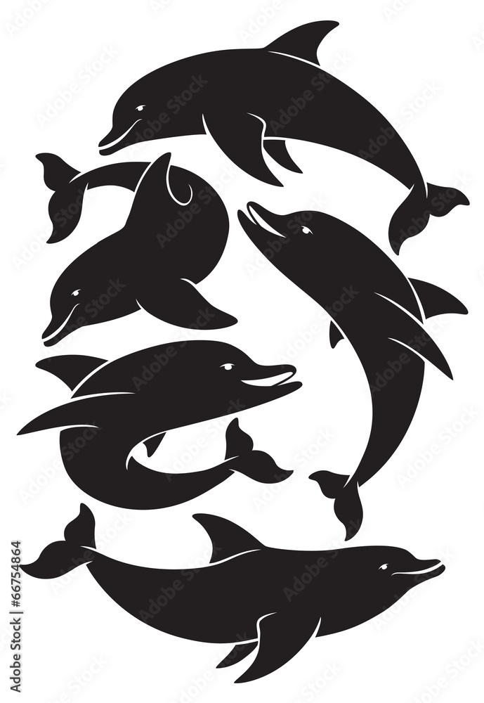 Fototapeta premium dolphin