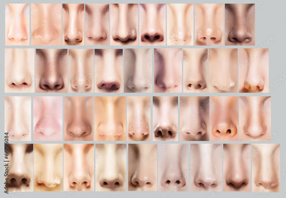 Naklejka premium Great Variety of Women's Noses. Body Parts