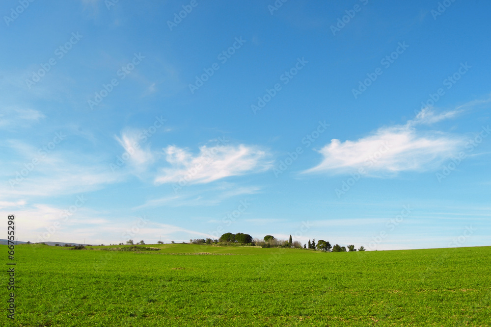 Cielo e prato clearance
